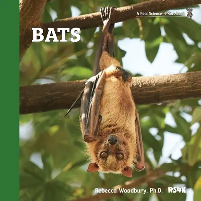 Netopýři - Bats