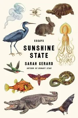 Sluneční stát: Skleněný máslový dům: Eseje - Sunshine State: Essays