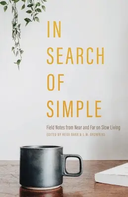Při hledání jednoduchosti - In Search of Simple