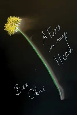 Oheň v hlavě: Básně pro úsvit - A Fire in My Head: Poems for the Dawn