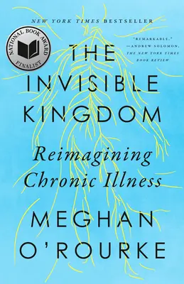 Neviditelné království: Neviditelná nemoc: nové pojetí chronického onemocnění (Reimagining Chronic Illness) - The Invisible Kingdom: Reimagining Chronic Illness
