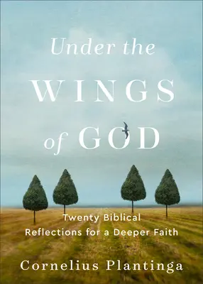 Pod křídly božími: Dvacet biblických úvah pro hlubší víru - Under the Wings of God: Twenty Biblical Reflections for a Deeper Faith