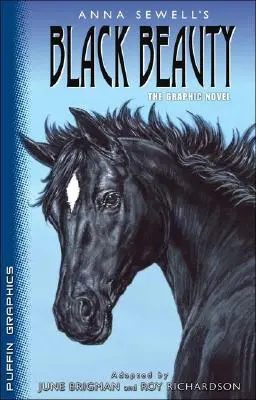 Puffin Graphics: Černá kráska - Puffin Graphics: Black Beauty