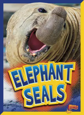 Tuleň sloní - Elephant Seals