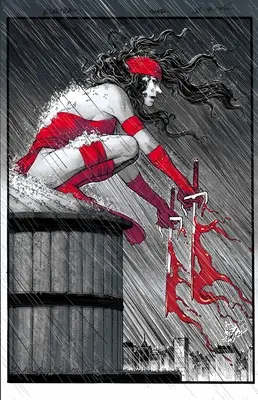 Elektra: Black, White & Blood Treasury Edition (Černá, bílá a krev) - Elektra: Black, White & Blood Treasury Edition