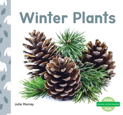 Zimní rostliny - Winter Plants