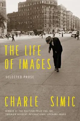Život obrazů - The Life of Images