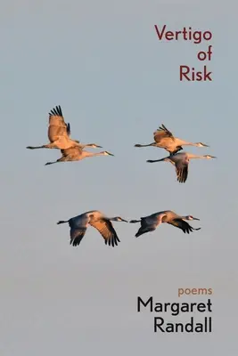 Závrať z rizika - Vertigo of Risk