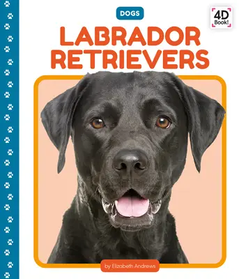 Labradorští retrívři - Labrador Retrievers