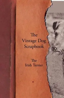 Vintage Dog Scrapbook - Irský teriér - The Vintage Dog Scrapbook - The Irish Terrier