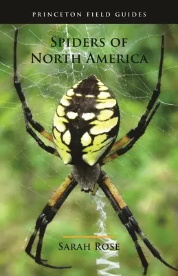 Pavouci Severní Ameriky - Spiders of North America