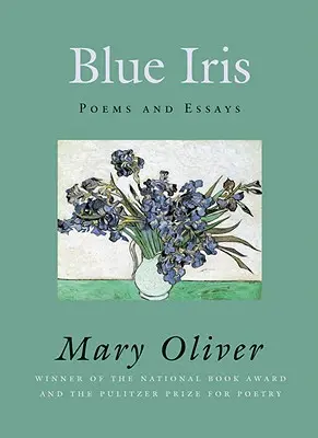 Modrý kosatec - Blue Iris
