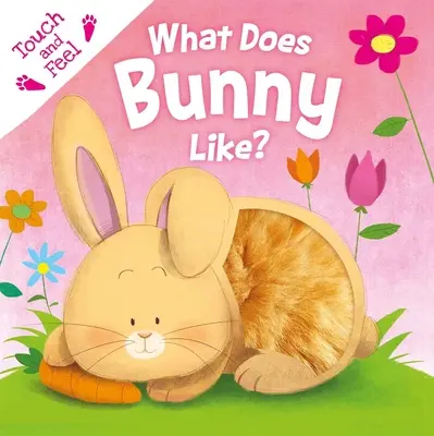 Co má rád zajíček?: S deskovou knihou na dotek a hmat - What Does Bunny Like?: Touch & Feel Board Book