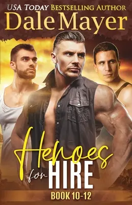 Nájemní hrdinové Knihy 10-12 - Heroes for Hire Books 10-12