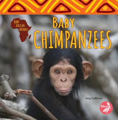 Šimpanzí mláďata - Baby Chimpanzees