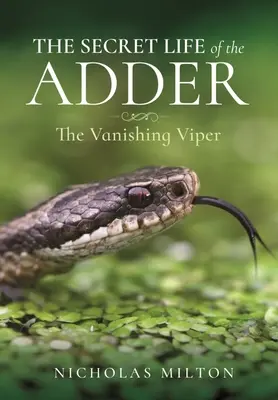 Tajný život zmijí: Zmizelá zmije - The Secret Life of the Adder: The Vanishing Viper