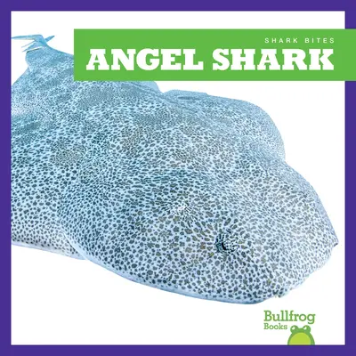 Žralok andělský - Angel Shark