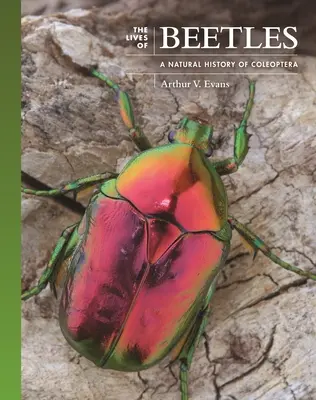 Život brouků: Přírodní dějiny brouků (Coleoptera) - The Lives of Beetles: A Natural History of Coleoptera