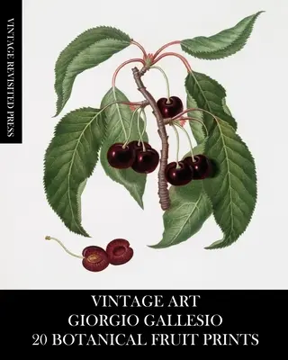 Vintage Art: Vánoční umění: Giorgio Gallesio: 20 botanických tisků ovoce - Vintage Art: Giorgio Gallesio 20 Botanical Fruit Prints