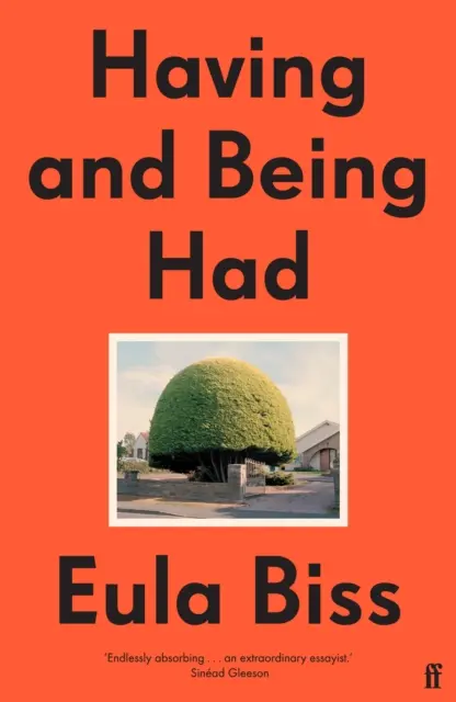 Mít a být mít - Having and Being Had