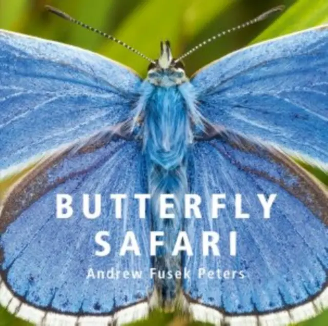 Motýlí safari - Butterfly Safari