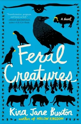 Divoká stvoření - Feral Creatures
