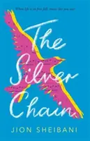 Stříbrný řetěz - Silver Chain