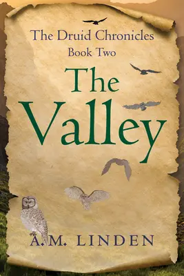 Údolí: Údolí: Druidské kroniky, kniha druhá - The Valley: The Druid Chronicles, Book Two