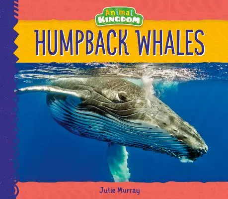 Keporkaci - Humpback Whales
