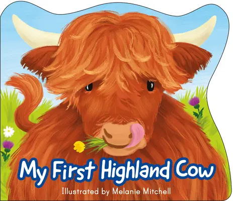 Moje první horalská kráva - My First Highland Cow