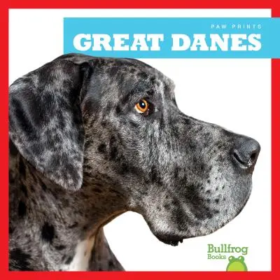 Velké dogy - Great Danes