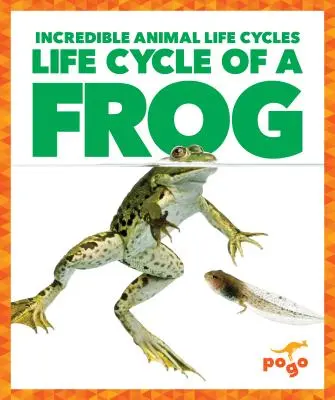 Životní cyklus žáby - Life Cycle of a Frog