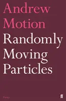 Náhodně se pohybující částice - Randomly Moving Particles