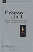 Posedlí Bohem - Novozákonní teologie posvěcení a svatosti (Peterson David (Autor)) - Possessed by God - New Testament Theology Of Sanctification And Holiness (Peterson David (Author))
