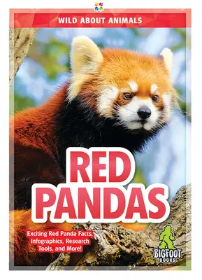 Červené pandy - Red Pandas