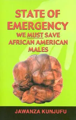 Stav nouze: Musíme zachránit afroamerické muže - State of Emergency: We Must Save African American Males