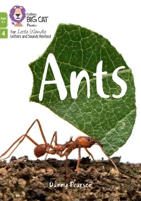 Mravenci - Fáze 4, sada 2 - Ants - Phase 4 Set 2