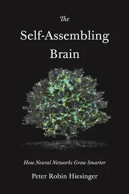 Samosestavující se mozek: Jak neuronové sítě rostou chytřeji - The Self-Assembling Brain: How Neural Networks Grow Smarter