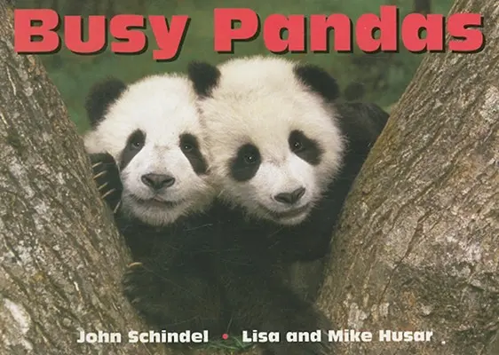 Zaneprázdněné pandy - Busy Pandas