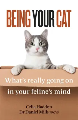 Jaká je vaše kočka: Co se skutečně děje v mysli vaší kočky - Being Your Cat: What's Really Going on in Your Feline's Mind
