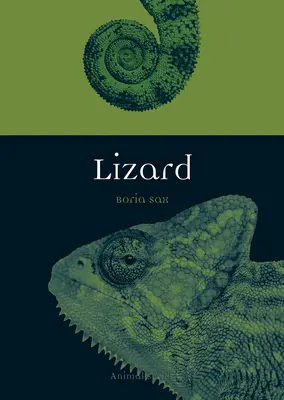 Ještěrky - Lizard