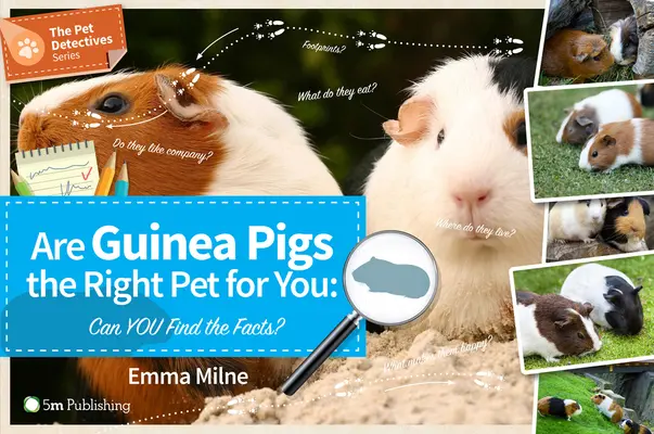 Jsou morčata tím pravým domácím mazlíčkem pro vás: Víte, jaká jsou fakta o těchto zvířatech? - Are Guinea Pigs the Right Pet for You: Can You Find the Facts?