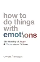 Jak na emoce: Morálka hněvu a studu napříč kulturami - How to Do Things with Emotions: The Morality of Anger and Shame Across Cultures