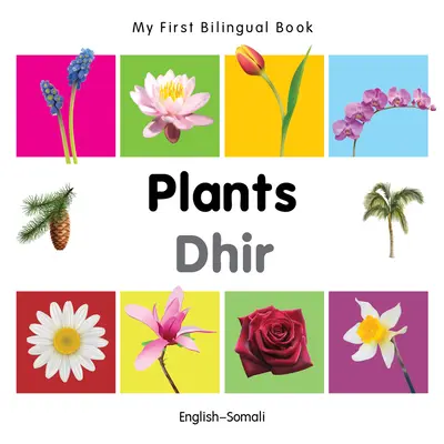 Moje první dvojjazyčná kniha-Rostliny (anglicko-somálsky) - My First Bilingual Book-Plants (English-Somali)