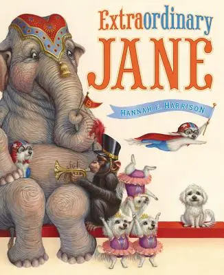 Neobyčejná Jane - Extraordinary Jane