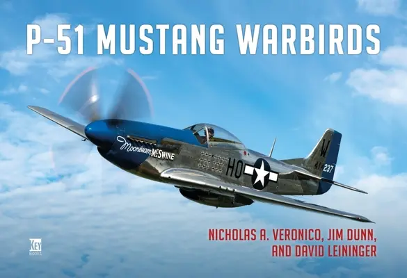 Váleční ptáci P-51 Mustang - P-51 Mustang Warbirds