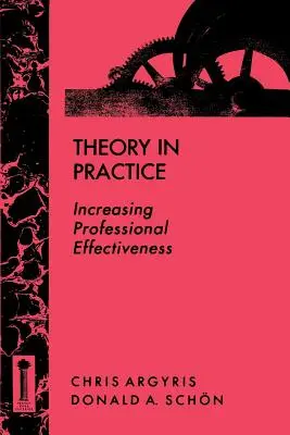 Teorie v praxi: Zvyšování profesní efektivity - Theory in Practice: Increasing Professional Effectiveness