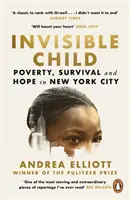 Neviditelné dítě - nositel Pulitzerovy ceny za literaturu faktu 2022 - Invisible Child - Winner of the Pulitzer Prize in Nonfiction 2022
