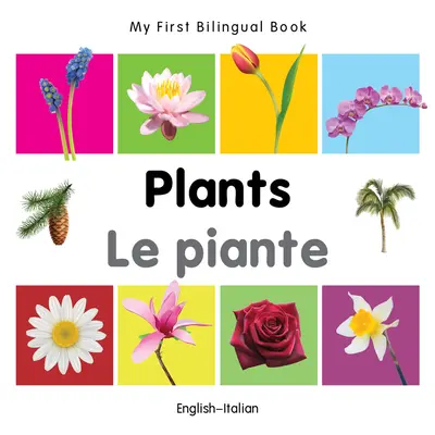 Moje první dvojjazyčná kniha - rostliny (anglicko-italsky) - My First Bilingual Book-Plants (English-Italian)
