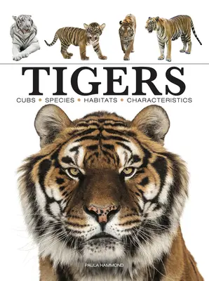 Tygři - Tigers